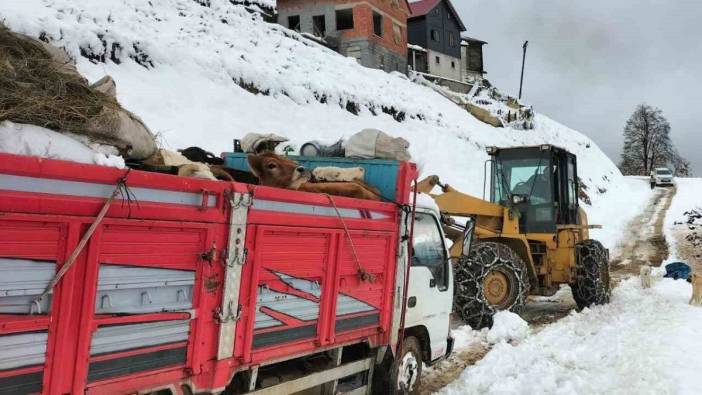 Rize’de mahsur kalan 6 kişi ve hayvanlar kurtarıldı