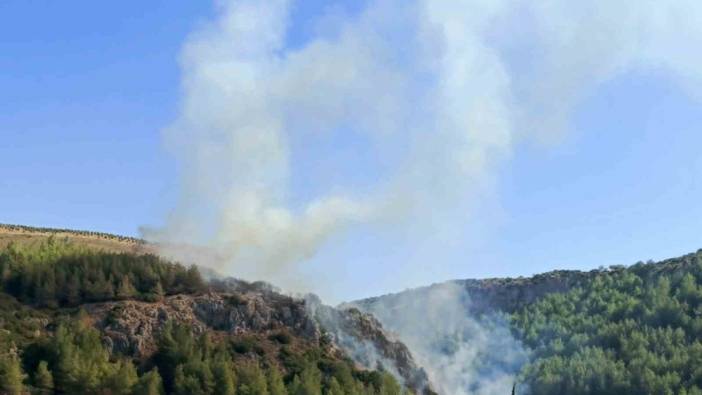 Hatay’daki orman yangını söndürüldü