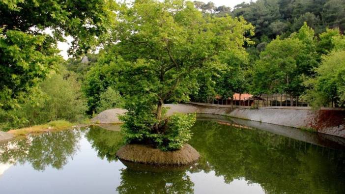 Homeros Vadisi: İzmir'in saklı cenneti