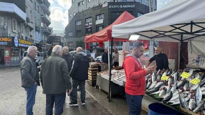 Palamut'un fiyatı düştü