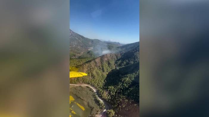 Dalaman Akkaya Vadisi'nde orman yangını