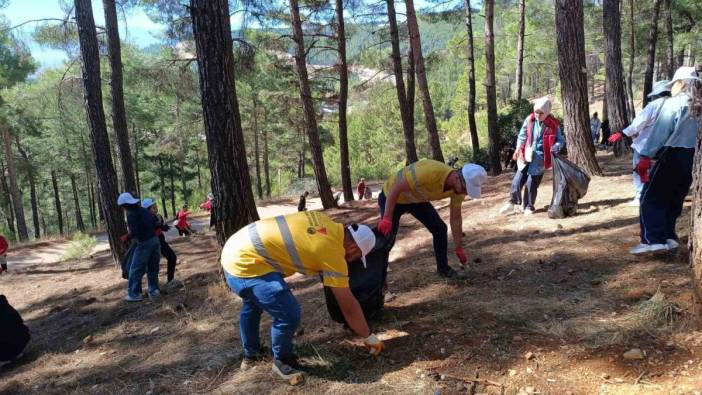 Kahramanmaraş’ta ormanlar temizleniyor