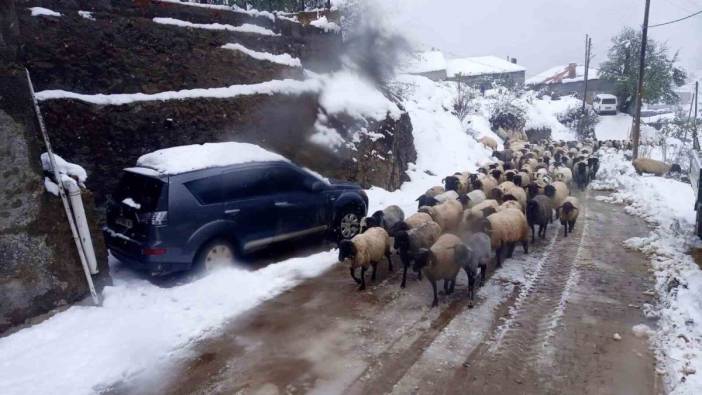 Giresun’da yaylada mahsur kalan çobanlar kurtarıldı