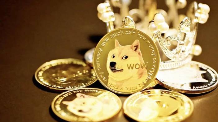 Dogecoin düşüşe rağmen dayanıklılığını sürdürüyor