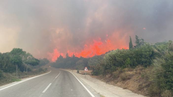 Çanakkale'de 2 yılda 277 orman yangını çıktı