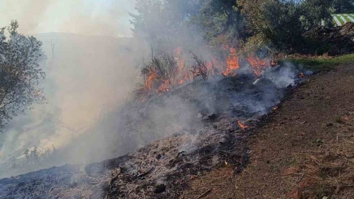 Hatay'da zeytinlik alanda yangın çıktı!