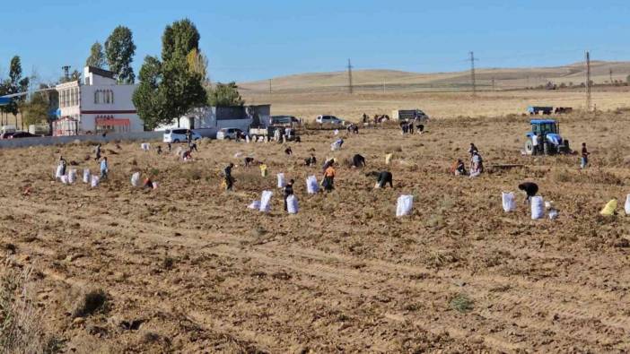 Ürününü çöpe dökeceğine vatandaşlara dağıttı