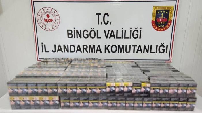 Bingöl’de kaçak kazı