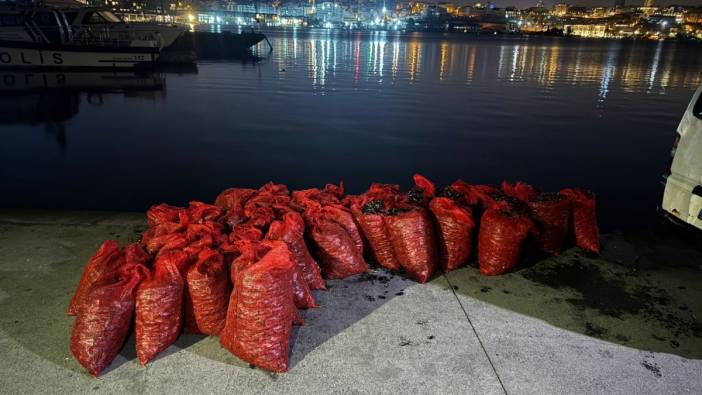 İstanbul'da 2 ton kaçak midye ele geçirildi