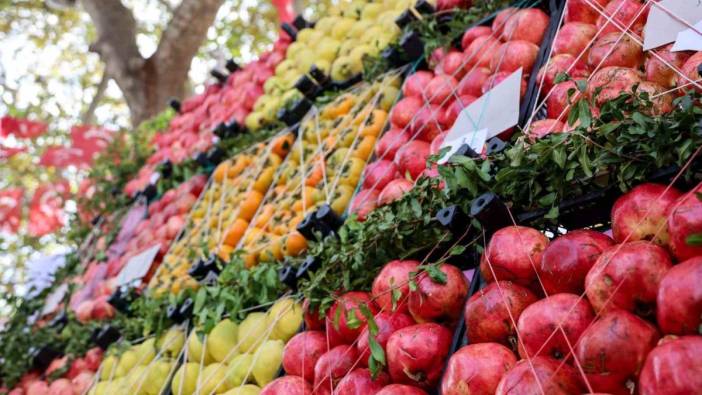 Bilecik nar üretiminde iddialı! Türkiye’de kaçıncı sırada?