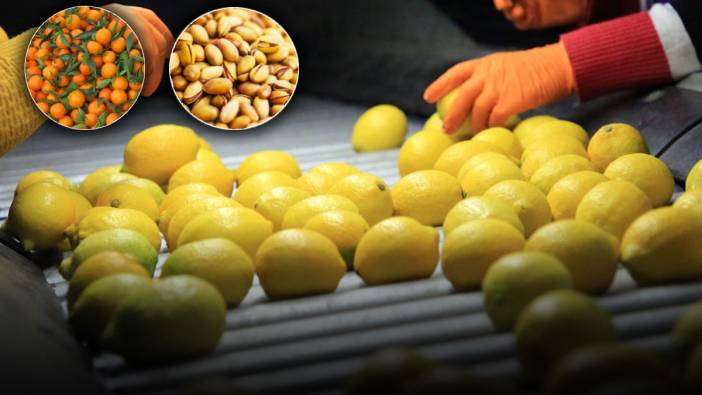 Fıstık, mandalinadan sonra şimdi de limon...  Rusya’nın iade ettiklerini bize mi yedirecekler?