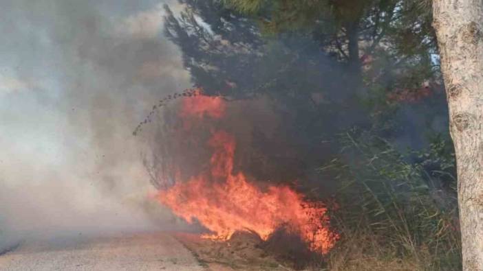 Antakya’da ormanlık alandaki yangına hızlı müdahale! Yangın büyümeden söndürüldü