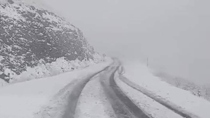 Van'da mevsimin ilk karı yağdı