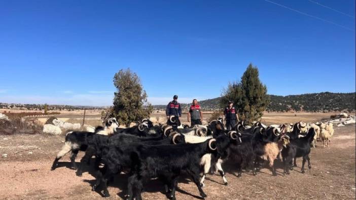 Ekiplerin çalışması sonuç buldu