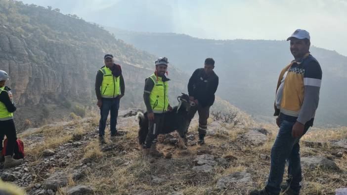 Uçurumda mahsur kalan keçi 2 saatte kurtarıldı