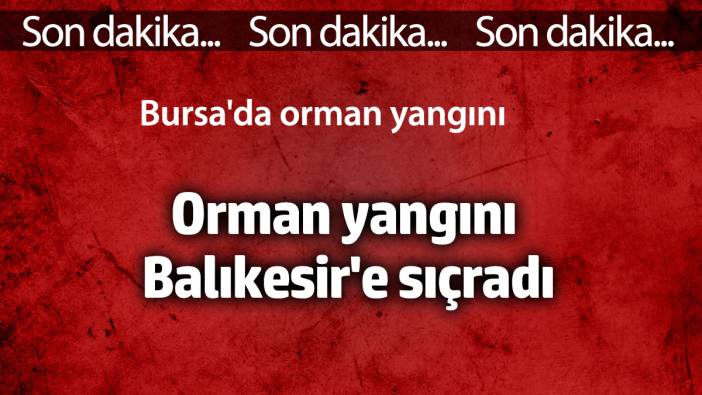 Bursa'da orman yangını. Balıkesir'e sıçradı