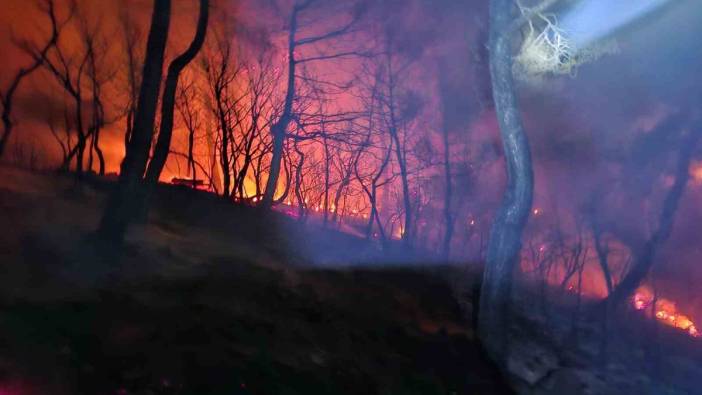 Edirne Keşan’da ormanlık alanda çıkan yangın kontrol altına alındı