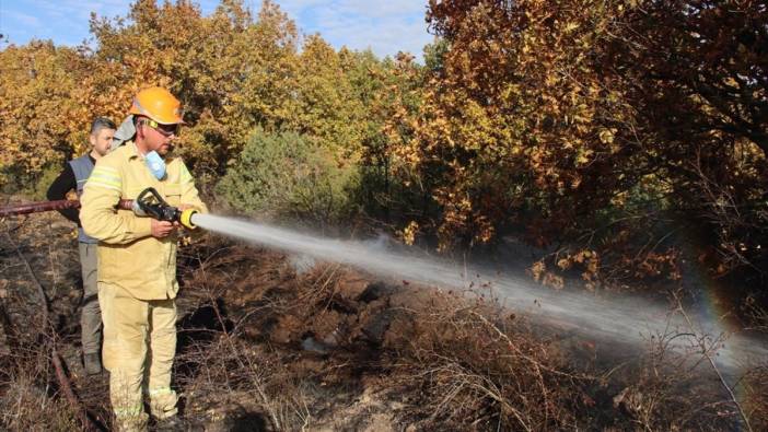 Kırklareli'nde çıkan orman yangını söndürüldü