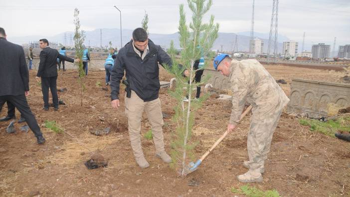 Cizre’de fidan dikim etkinliği