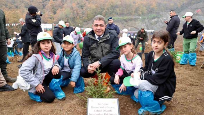 Düzce'de binlerce fidan toprakla buluştu