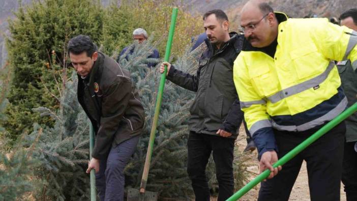 Kemaliye’de geleceğe nefes için fidan dikildi