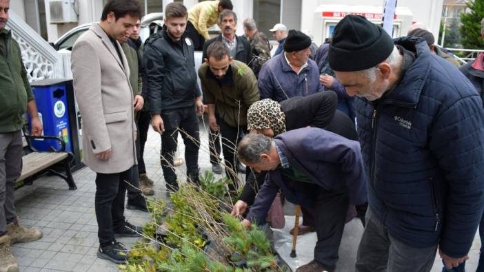 Türkeli’de vatandaşlara ücretsiz fidan dağıtıldı