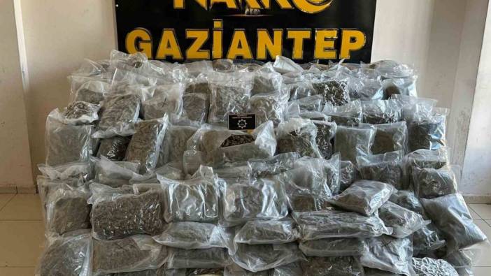 Gaziantep’te kilolarca skunk ele geçirildi