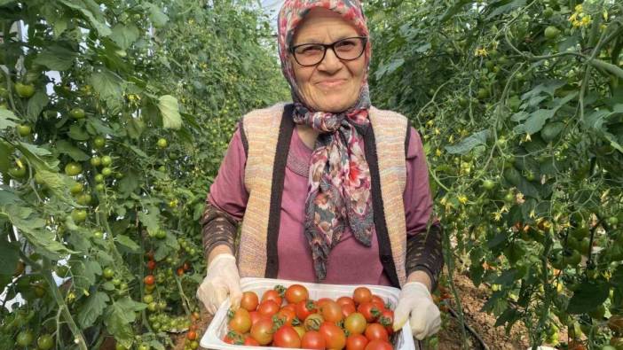 Kocası 5 çocuğuyla bırakıp kaçtı! 46 sene ev temizlemenin ardından  75 yaşında serada çalışıyor