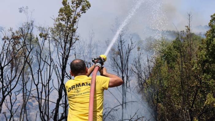 Kahramanmaraş’ta orman yangını kontrol altına alındı