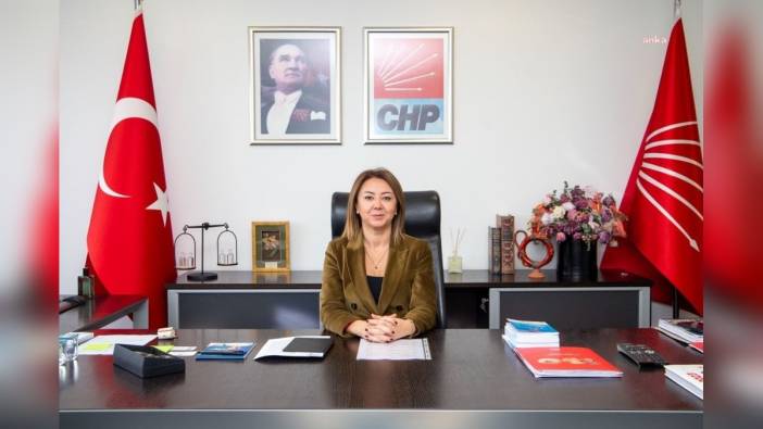 CHP'den Tekin'e suç duyurusu: Cumhuriyet hedef alınamaz