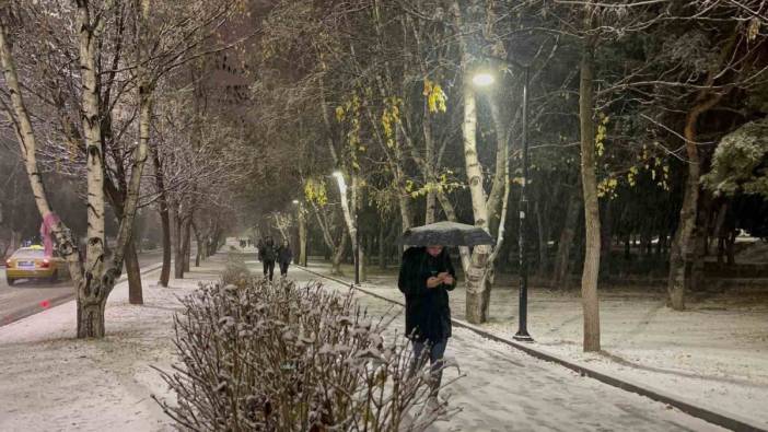 Erzurum’da kar yağışı etkili oldu