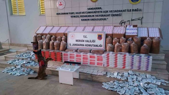 Mersin’de kaçakçılık operasyonu: 208 bin adet makaron bulundu