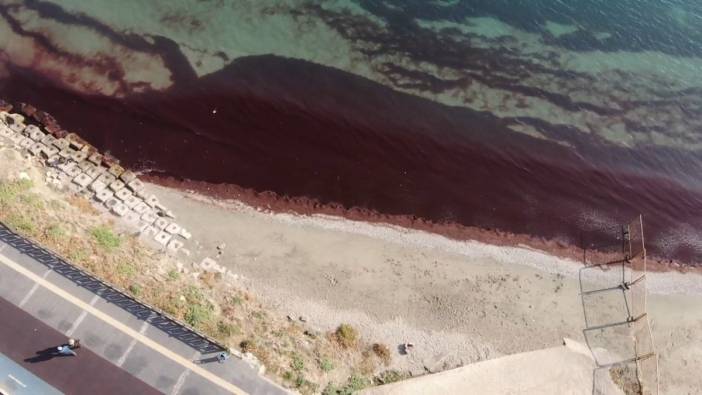 Tekirdağ'da denizin rengi kızıla döndü