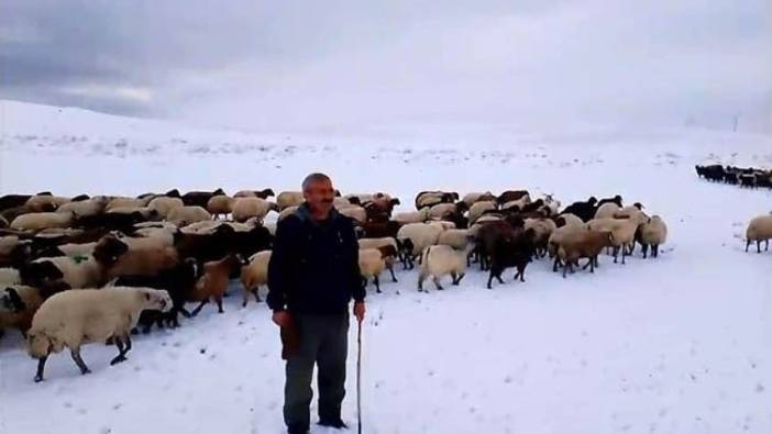 Kar yağışı besicileri vurdu