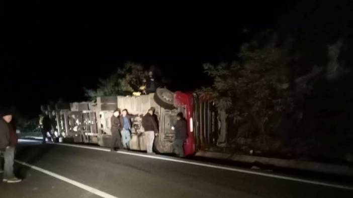 Ordu'da talaş yüklü TIR devrildi: Şoför hayatını kaybetti