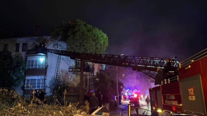 Fön makinesi yangın çıkardı: Bir kedi ve kuş telef oldu