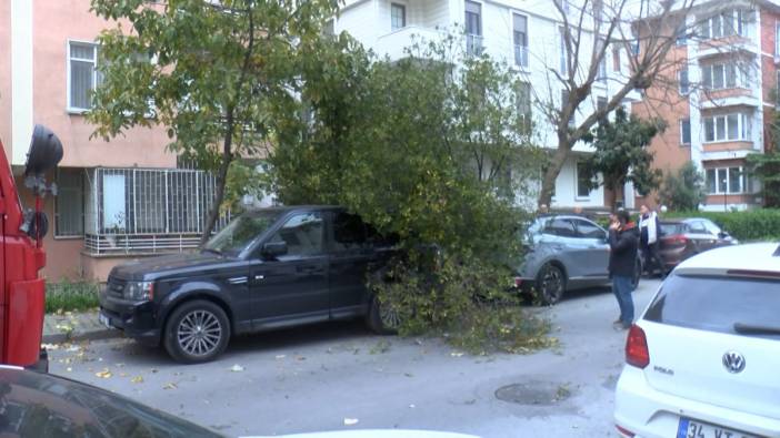 Şiddetli lodos Bakırköy'de 2 aracın üzerine ağaç devirdi