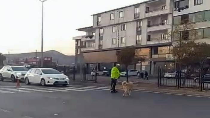 Polis, köpeğin karşıya geçmesi için trafiği durdurdu