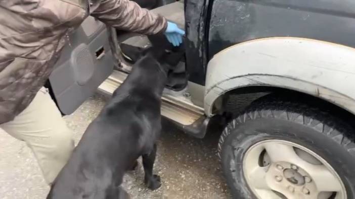 Narkotik köpeği araçtaki zulada uyuşturucu buldu