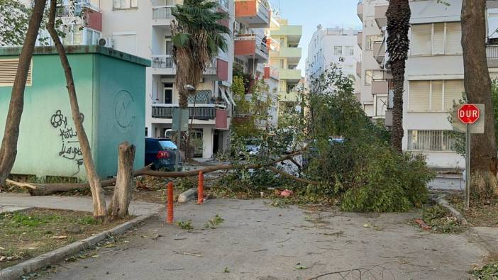 Antalya'yı fırtına vurdu: Ağaçlar devrildi, seralar yıkıldı