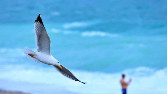 Rus turist fırtınanın oluşturduğu dev dalgalar arasında denize girdi