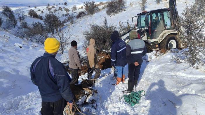 Başkent Ankara’da karda mahsur kalan hayvan böyle kurtarıldı