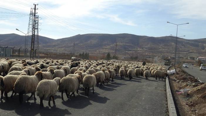 Göç yolcuğu devam ediyor. Dağlık alanlarda ölümle burun buruna geliyor