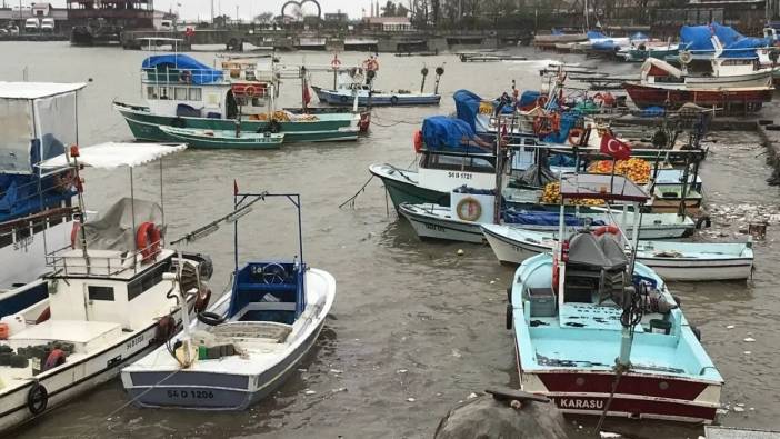 Hava şartları Sakarya'daki balıkçı teknelerini vurdu