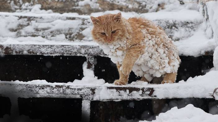 Kar yağışı kaç gün sürecek? Meteoroloji kar yağışının biteceği tarihi açıkladı