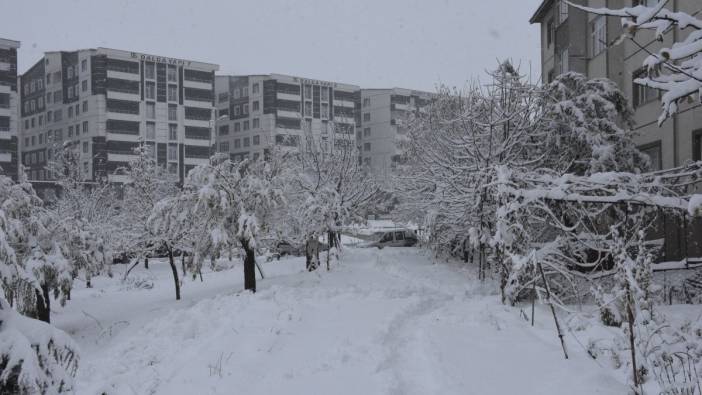 Yoğun kar yağışı Bitlis'te 84 köy yolunu kapattı