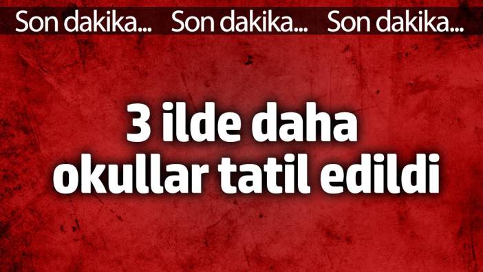 3 ilde daha okullar tatil edildi