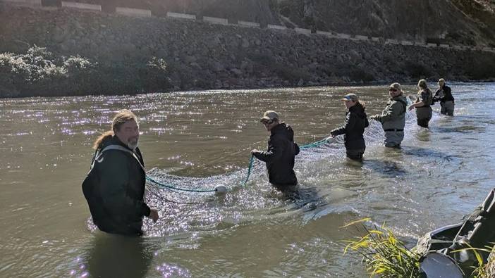 Somon balıkları 100 yıl sonra Klamath Nehri’ne döndü