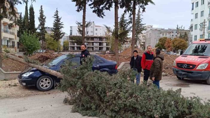 Park halindeki otomobilin üzerine ağaç düştü