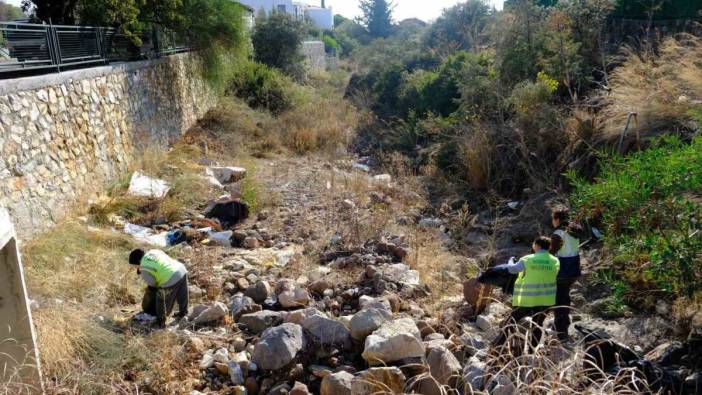 Tescilli Ağaç Topluluğu bölgesi için hummalı çalışma